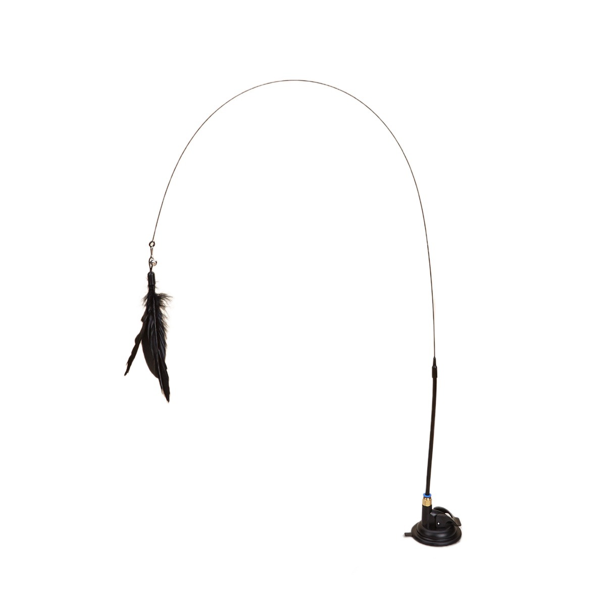 import白底实物图