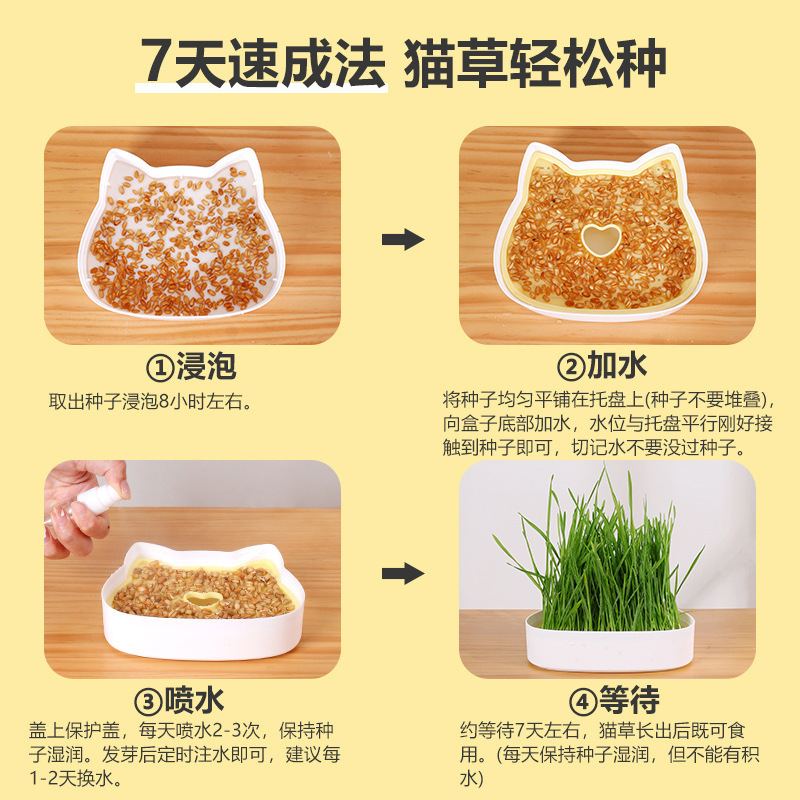 Cartoon catgrass potted seed into baby cat to hairball lazy cat grass box cat hydroponic catgrass hydroponic box details Picture