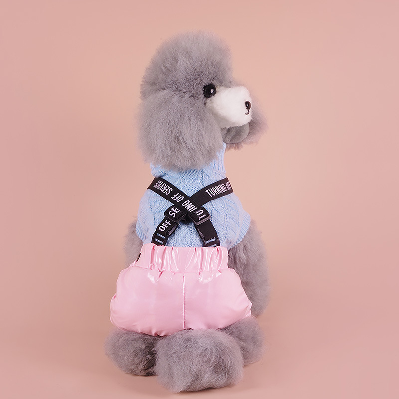 狗狗服装实物图