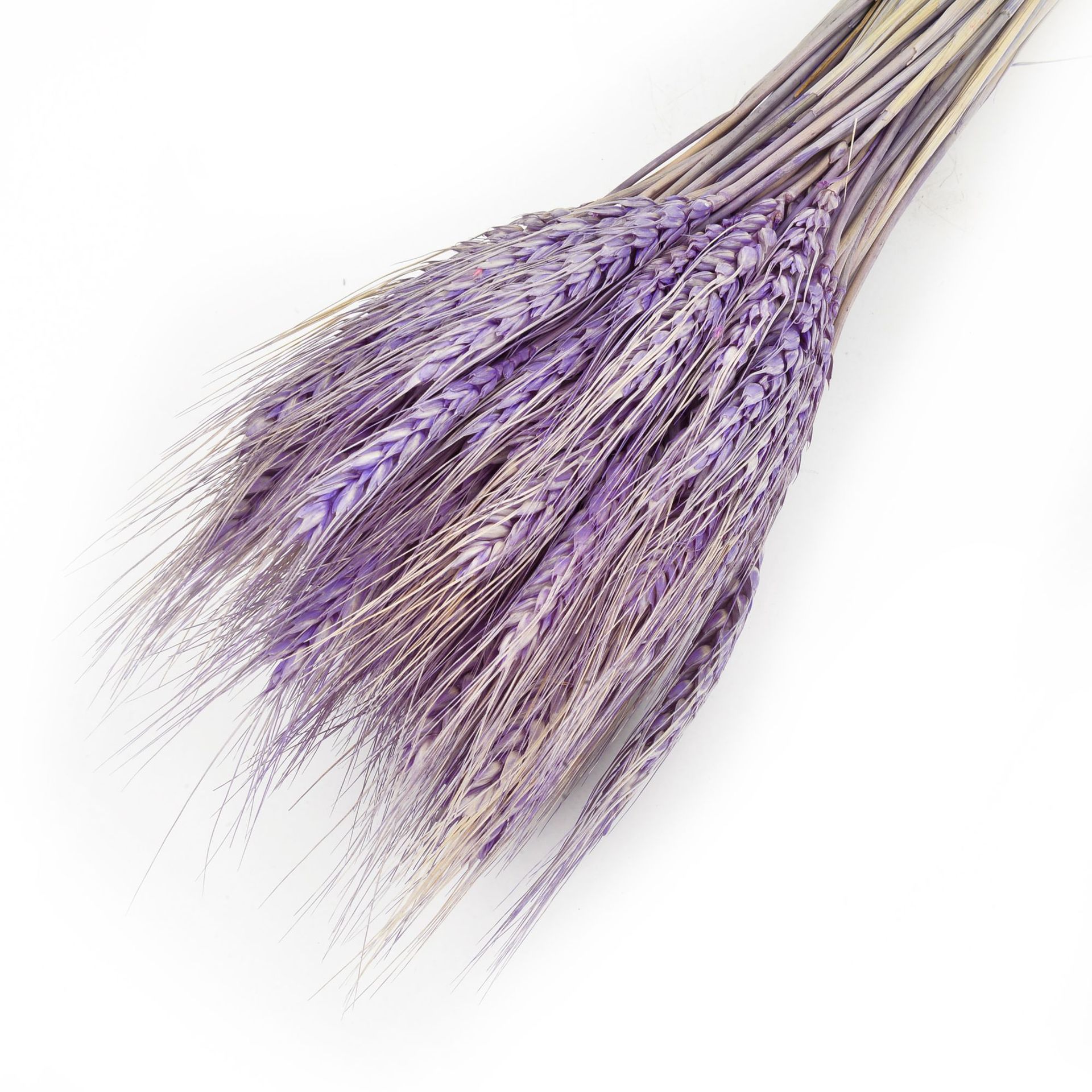 Or naturel blé fleurs séchées bouquet orge ouverture salon jardin pièces de décoration fleur séchée accessoires de fleurs gros Figure complète