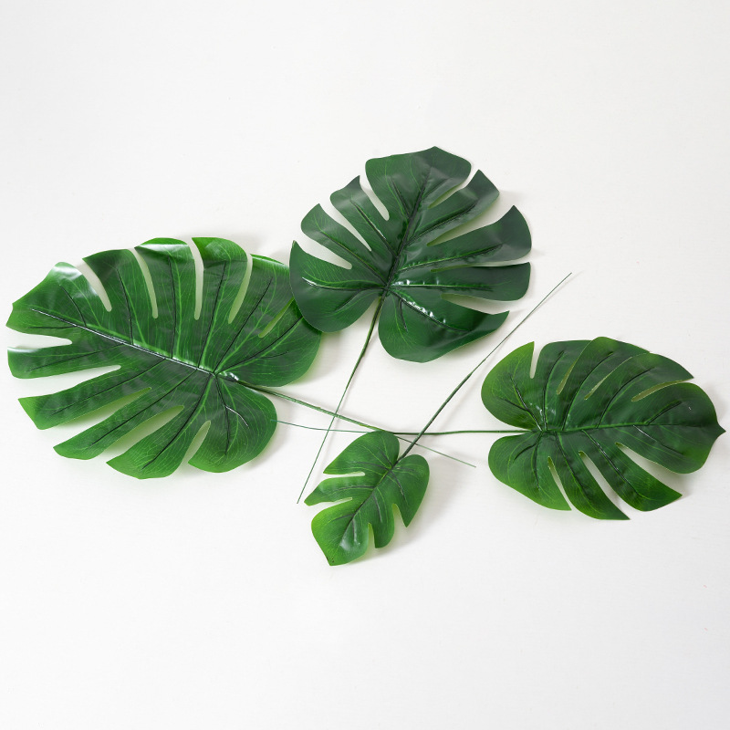 仿真植物实物图