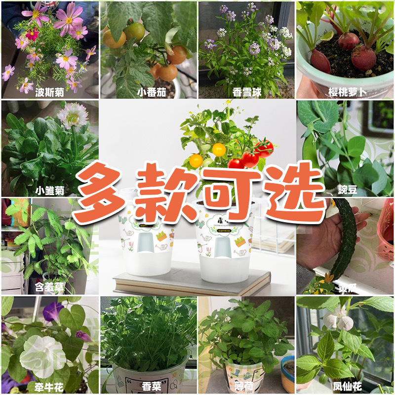 import细节图