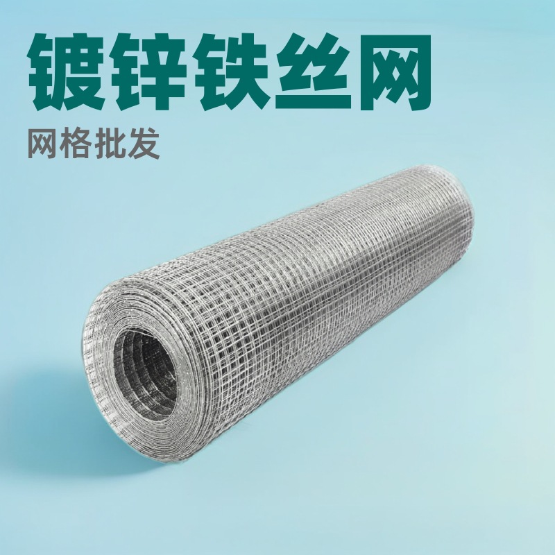 钢丝网厂家热镀锌网电焊网不锈钢养殖网围栏铁网网格防护网铁丝网