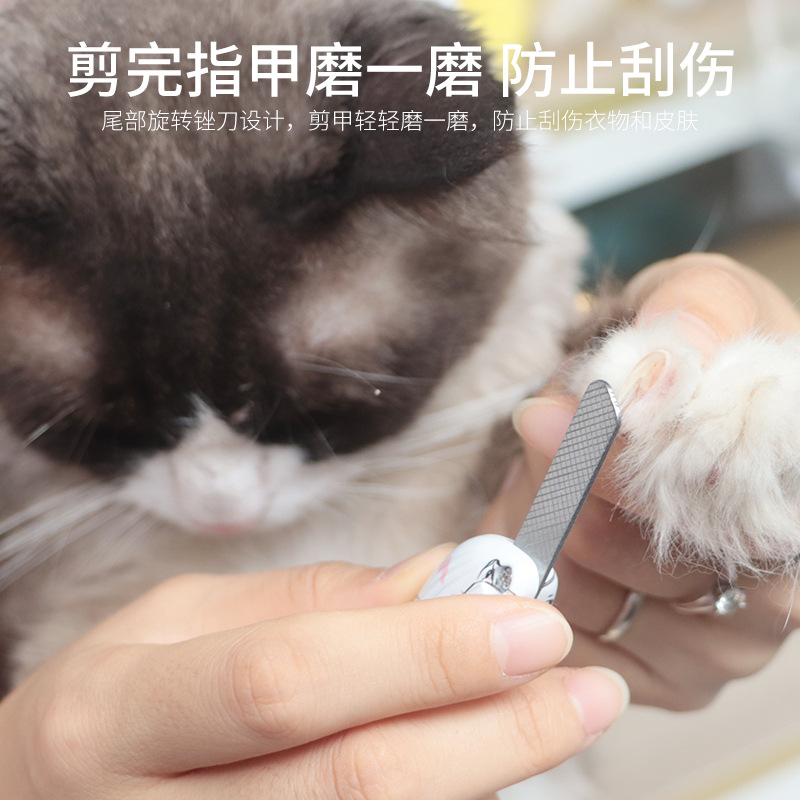 猫猫清洁美容工具实物图