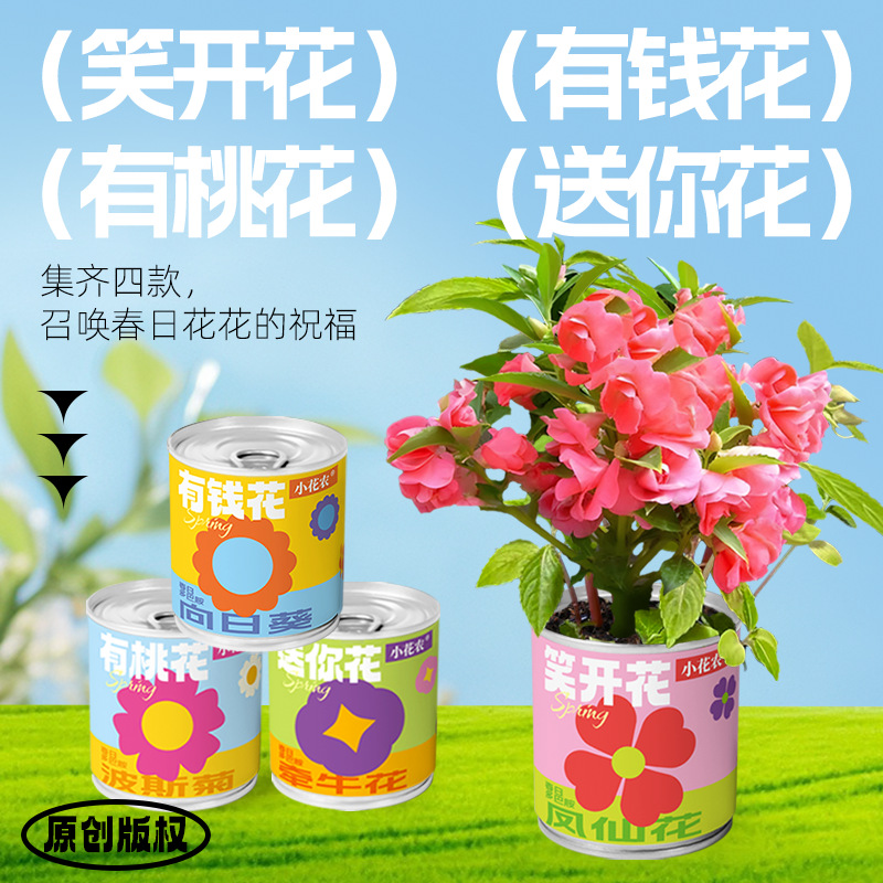 飞机玩具/小飞机航摸/奶油胶/发声带灯玩具/实验材料包产品图