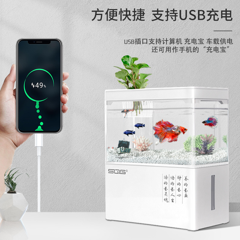import细节图