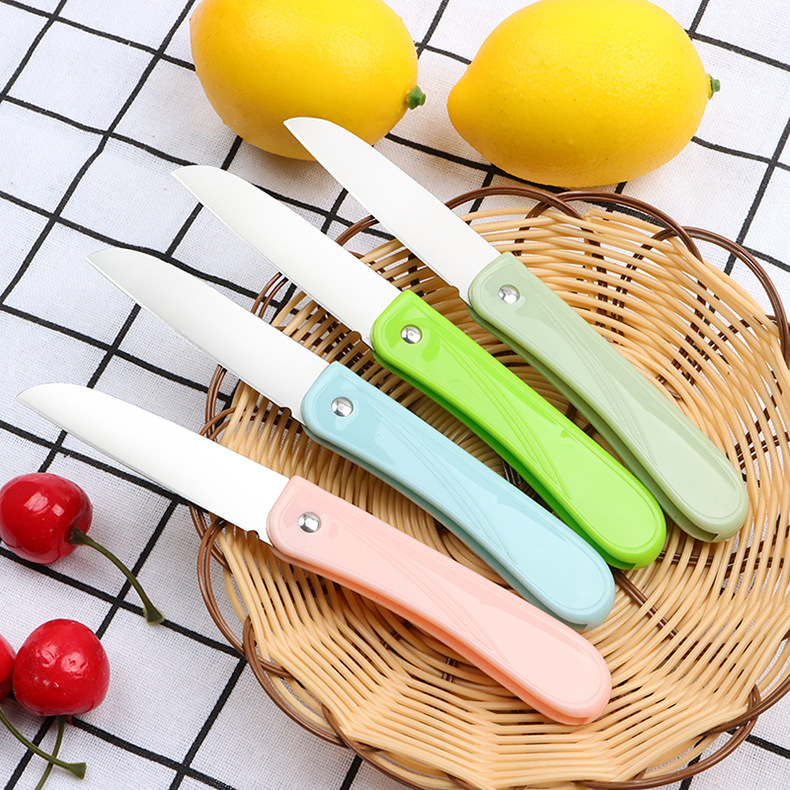 Stainless steel folding fruit knife, fruit peel knife, household knife, folding knife, portable fruit knife details Picture