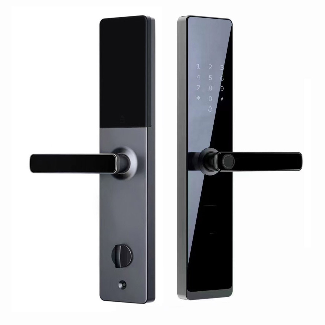 import白底实物图