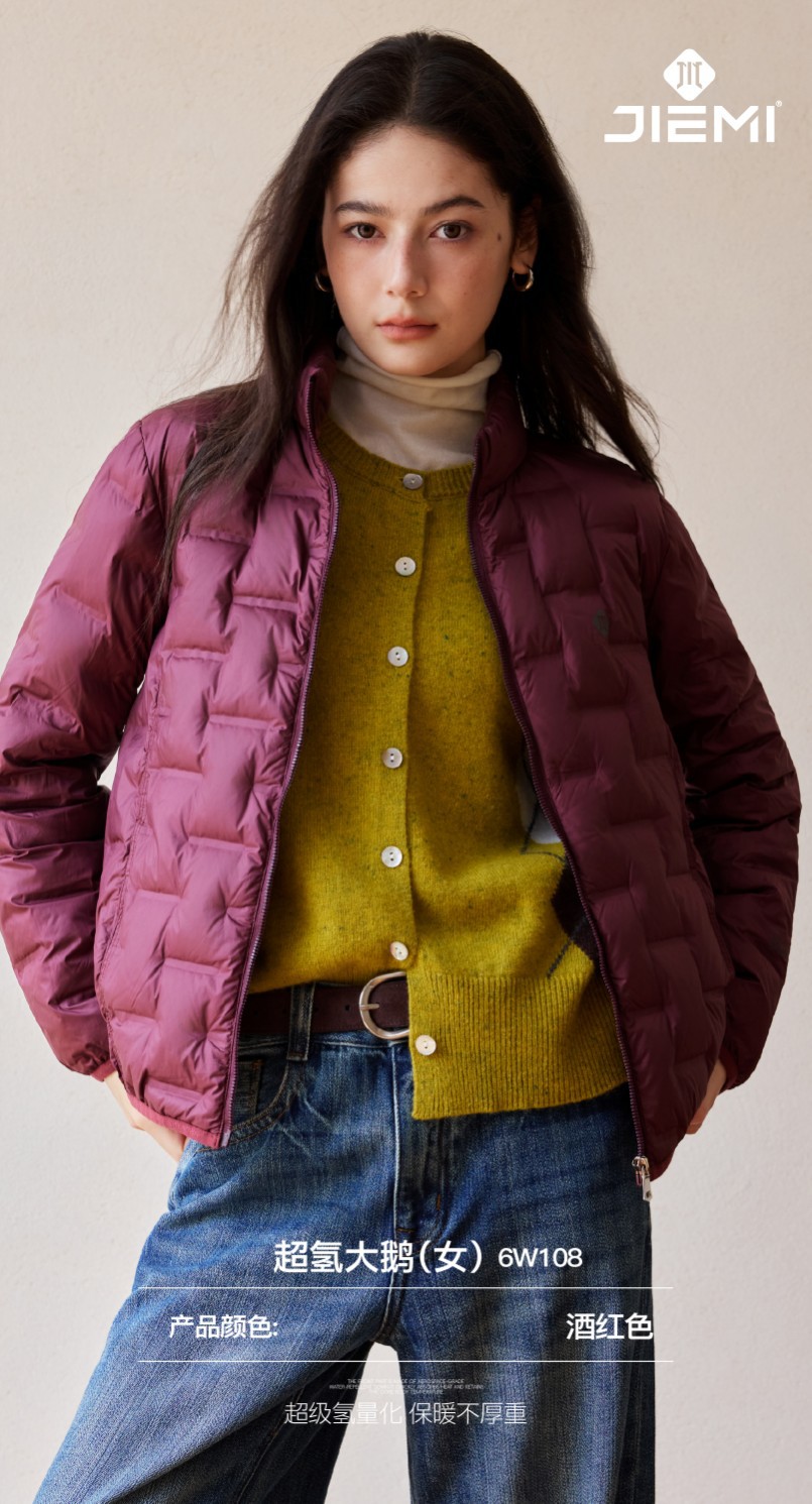 Otoño invierno nueva chaqueta ligera mujer cuello vertical slim protección contra el frío y el calor abajo chaqueta visualización peso ligero ganso abajo ropa pic 23