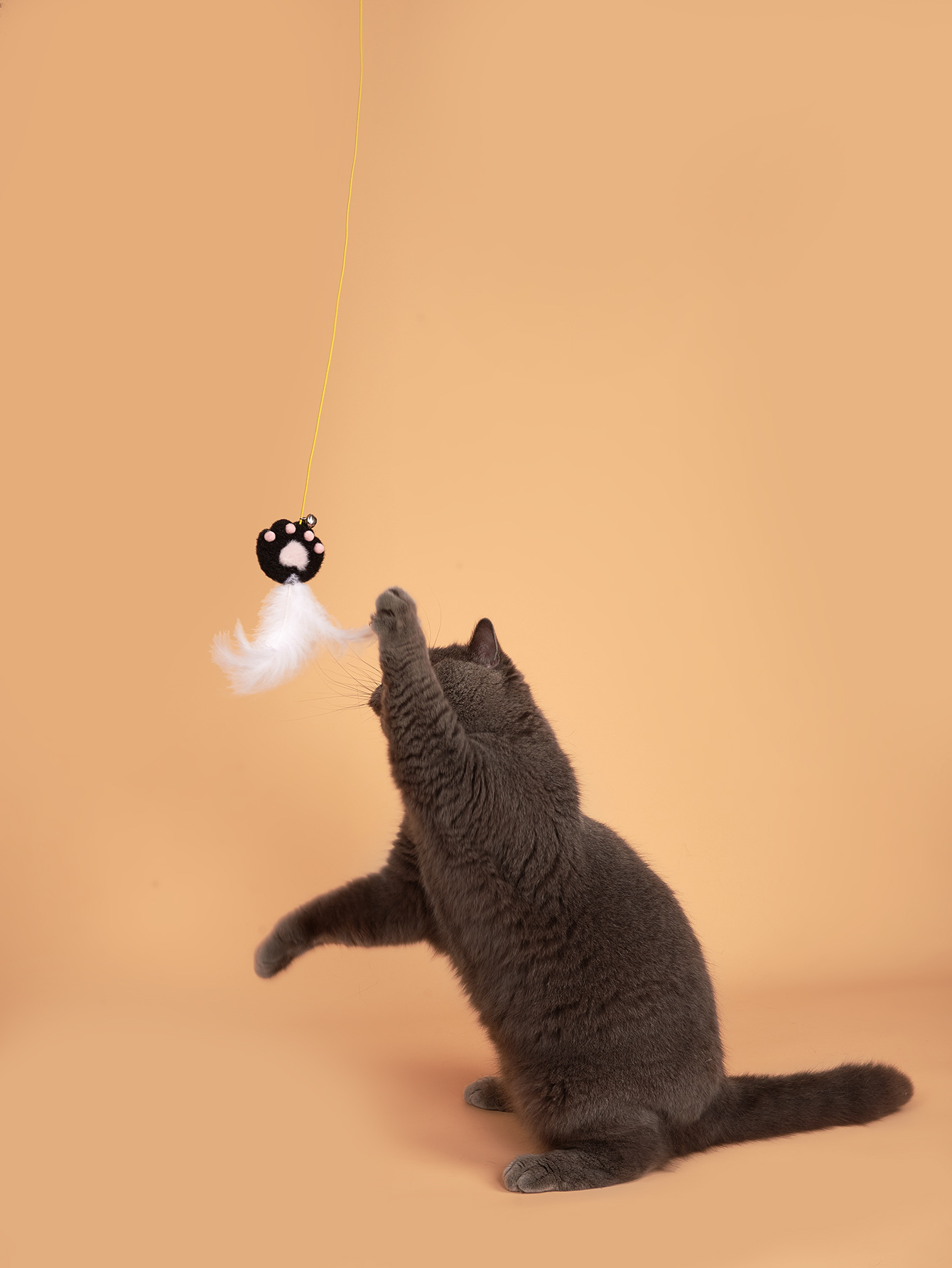 Cat self-entertainment, cat toys, hanging door, swing, telescopic clasp, pet supplies, cat toys, new Amazon style Specification image