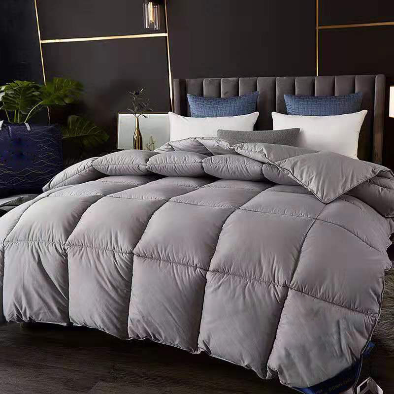 A hair substitute feather velvet cotton quilt, hotel thickened 8-pound winter quilt, silk cotton gift quilt, spring and autumn double quilt for homestay Application Scenario
