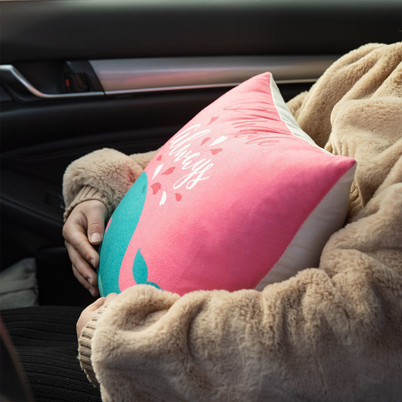 靠垫/抱枕/抱枕被实物图