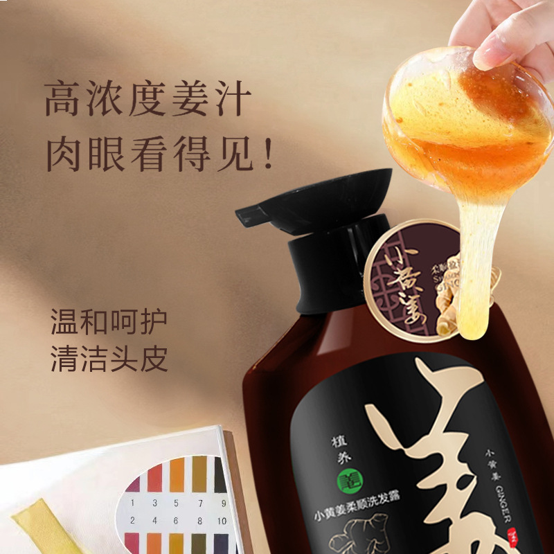 生姜去屑柔顺/小黄姜洗发露/批发厂家产品图
