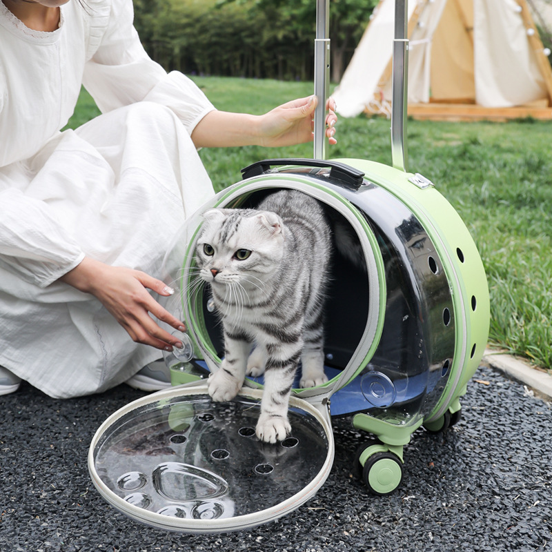 New transparent, simple, large-capacity portable and creative pet backpack, space capsule and dog suitcase Application Scenario