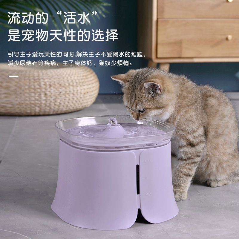 宠物饮水器猫产品图