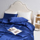 跨境家纺色丁/纯色仿真丝床/枕套被套套件产品图