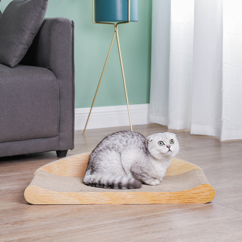 猫猫玩具实物图