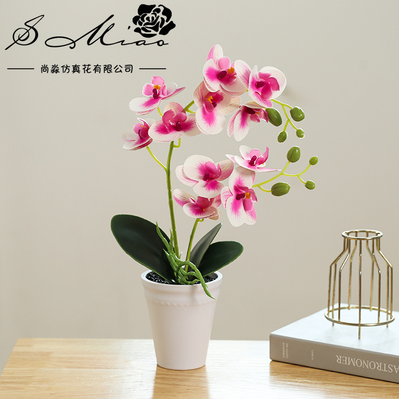 仿真植物实物图
