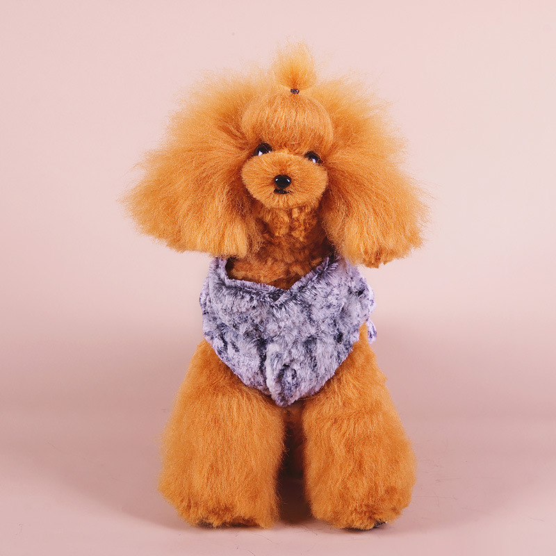 Pet clothing: Cute cartoon bear, versatile cat coat, long velvet thick and warm for autumn and winter, dog cotton-padded clothes and accessories Specification image