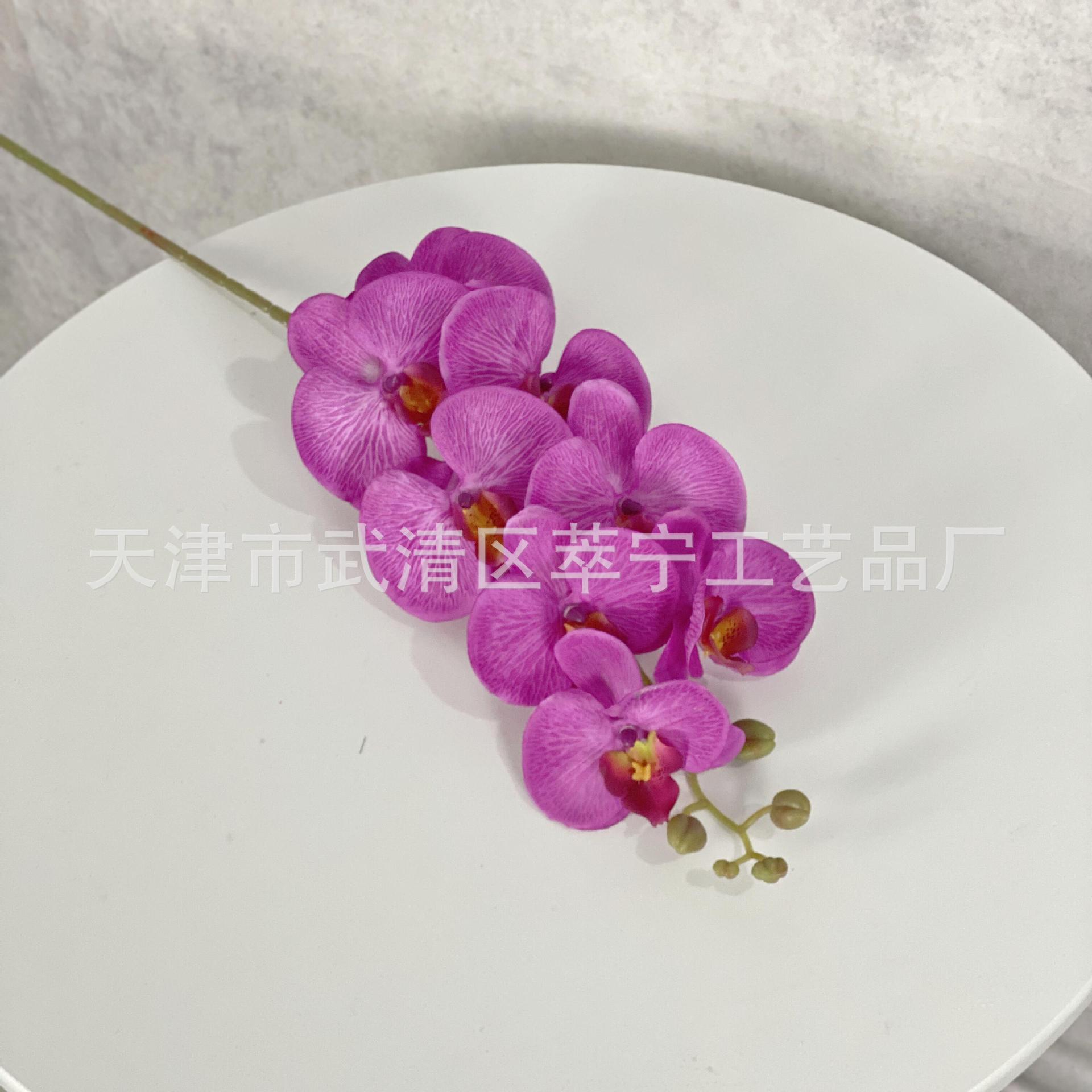 8 Head Display Pattern Peach Velvet Phalaenopsis Simulation Flower Wedding Flower Arrangement Home Decoration Living Room Decoration Accessories Cross-Border Manufacturers Specification drawing