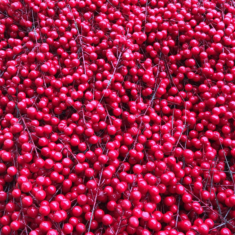 【 12-ball Branch Fruit String 】 Holly fruit Simulation foam Red berry Home decoration red fruit string branch manufacturer details Picture