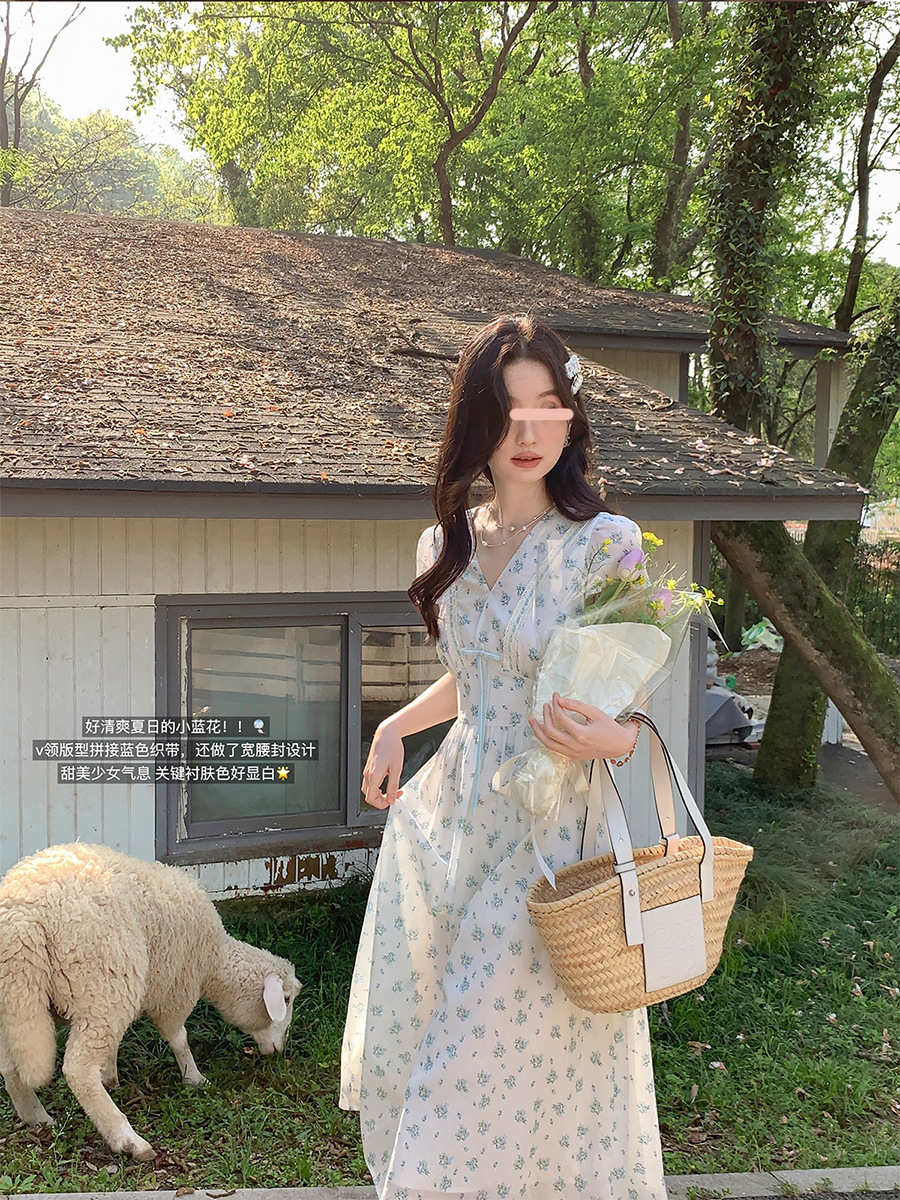 Suomeng Rose Lover French Gentle and Elegant Dress, long dress for women's summer/Playful, sweet and beautiful little shirt Application Scenario