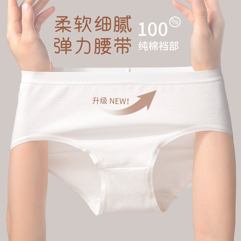 女士三角裤实物图