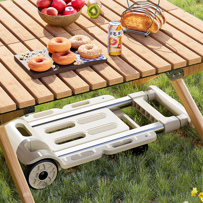 跨境小推车拉货平板手推车折叠便携搬运车家用拖车手拉取快递神器详情图4