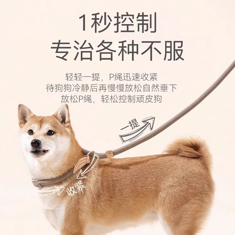狗狗牵引实物图