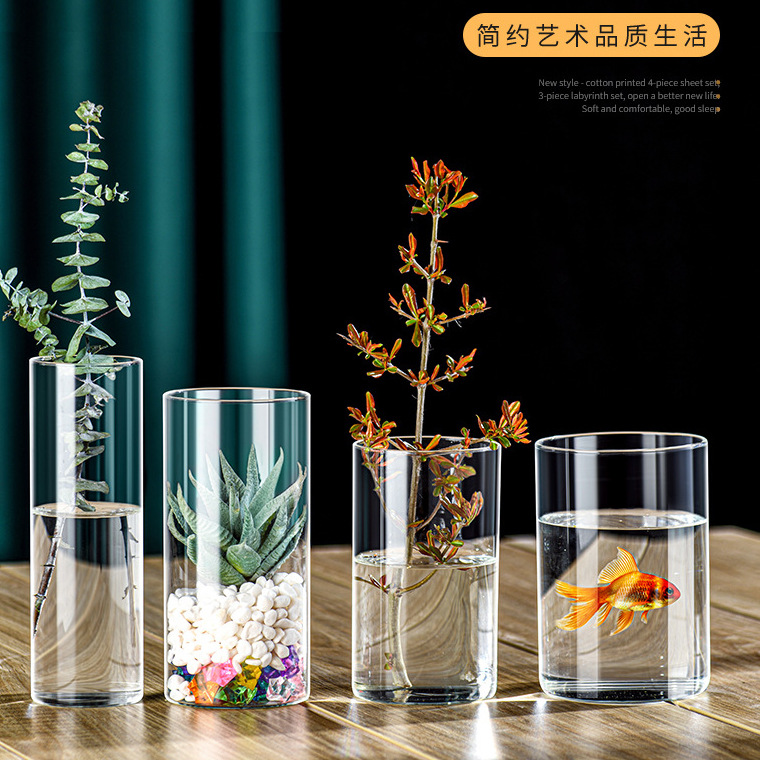 高硼硅玻璃直筒多功能花瓶绿萝水植玻璃花瓶插花器水培景观花盆