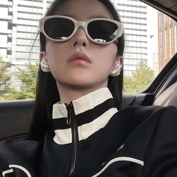 2024 New Korean-style retro cat-eye sunglasses, trendy and fashionable on Instagram, cross-border, individual and high-end sunglasses Application Scenario