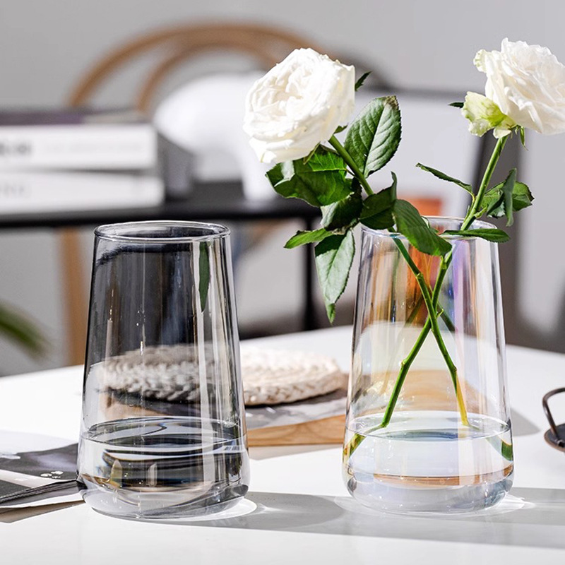 European Modern Simple Transparent Advanced Sense Vase Household Hydroponic Flower Arrangement Living Room Tabletop Decoration Ins Wind Flowerpot Application Scenario