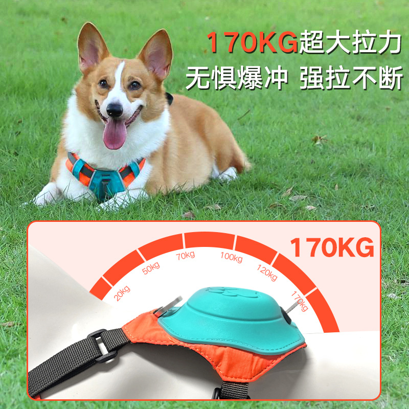 Dog leash, chest and back extension two-in-one pet chest and shoulder strap, small, medium and large dog shoulder strap, pet supplies details Picture