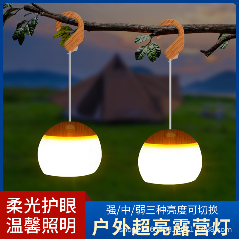 Camping lights, horse lights, hand lights, ambiance lights