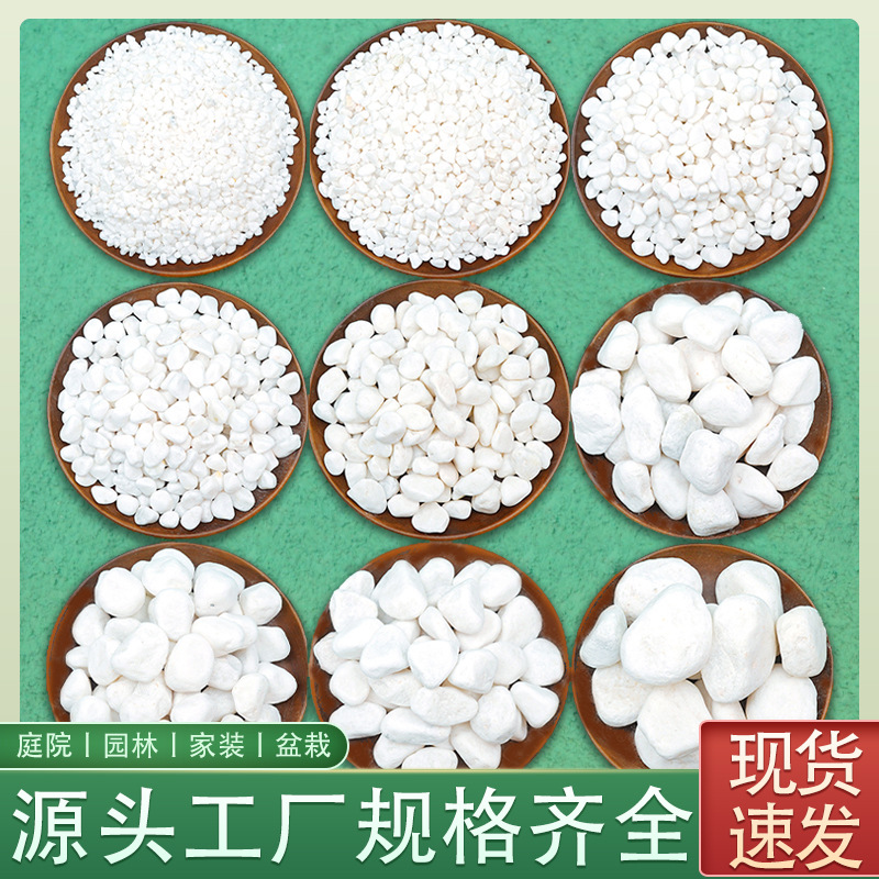 工艺品白色鹅卵石雨花石庭院铺面美化园林造景木制八音盒水烟装饰石头批发