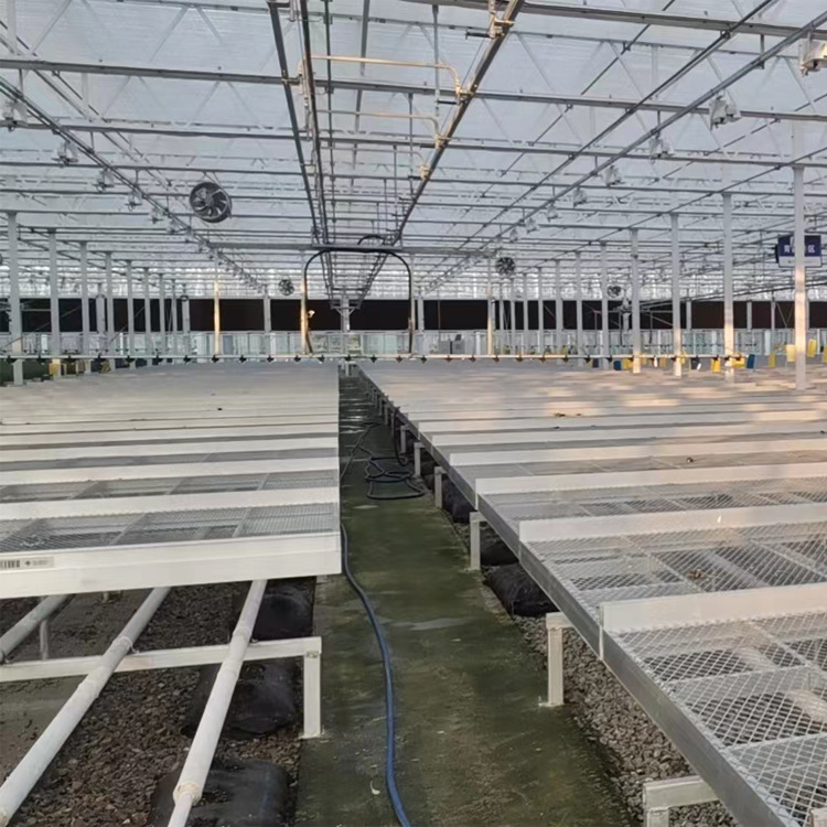 农业智能玻璃大棚种植温室观光温室大棚热镀锌阳光板温室连栋大棚细节图