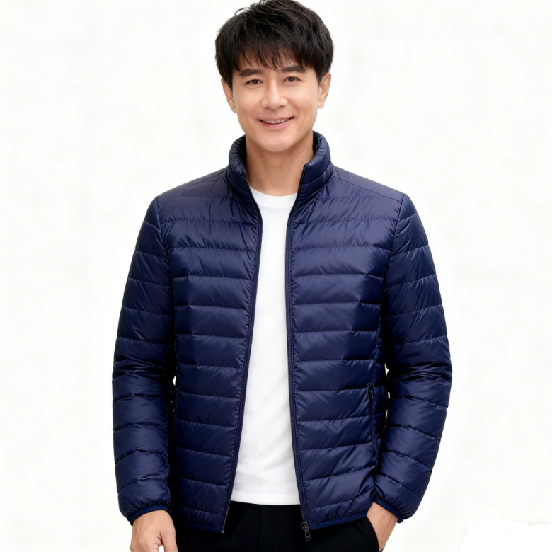 Factory cross-border down cotton-padded jacket, light, warm, casual cotton-padded jacket, men's cotton-padded jacket, men's windbreaker lining