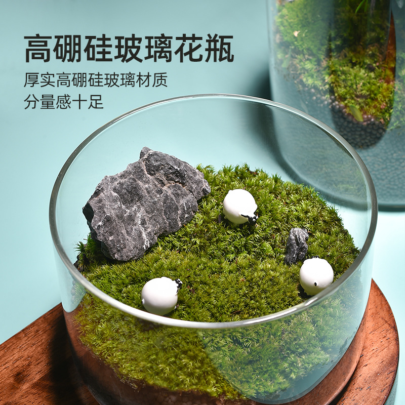 High Borosilicate Glass Vase Microlandscape Hydroponic Plants Straight Glass Jar Ornamental Fish Living Room Flower Arrangement Art Vase details Picture