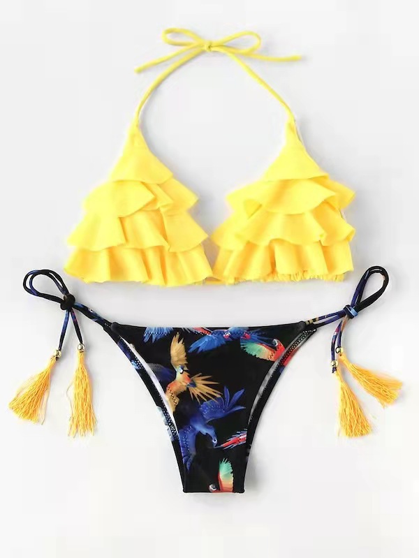 2019 Foreign Trade Bikini Swimsuit European And American Women's Sexy Two-Piece Swimsuit Item Picture