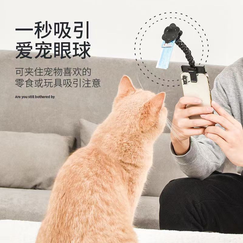 Pet toys for cats and dogs, camera viewing selfie tool, pet selfie stick, human-pet interactive toys details Picture
