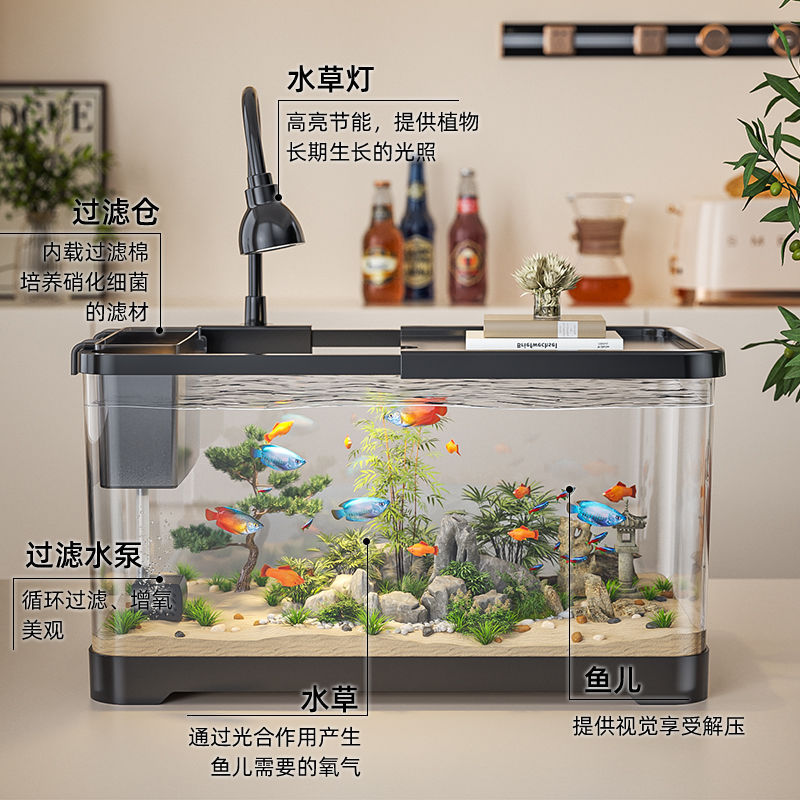 Golden fish tank pequeña sala de estar eco aquarium 2025 nuevo filtro de oxígeno todo en uno lujo paisaje eco tank Application Scenario