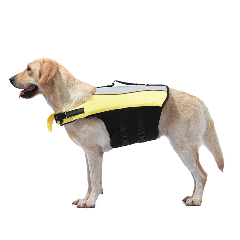 New pet life jackets, dog life jackets, swimming suits, Teddy Golden Retriever, French Bulldog life jackets