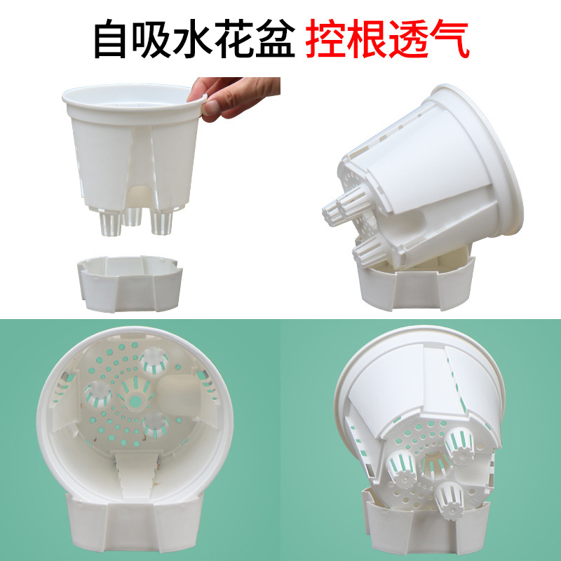 亚马逊新款储水透明青山盆蝴蝶兰透气控根盆自吸水花盆塑料懒人盆详情图2