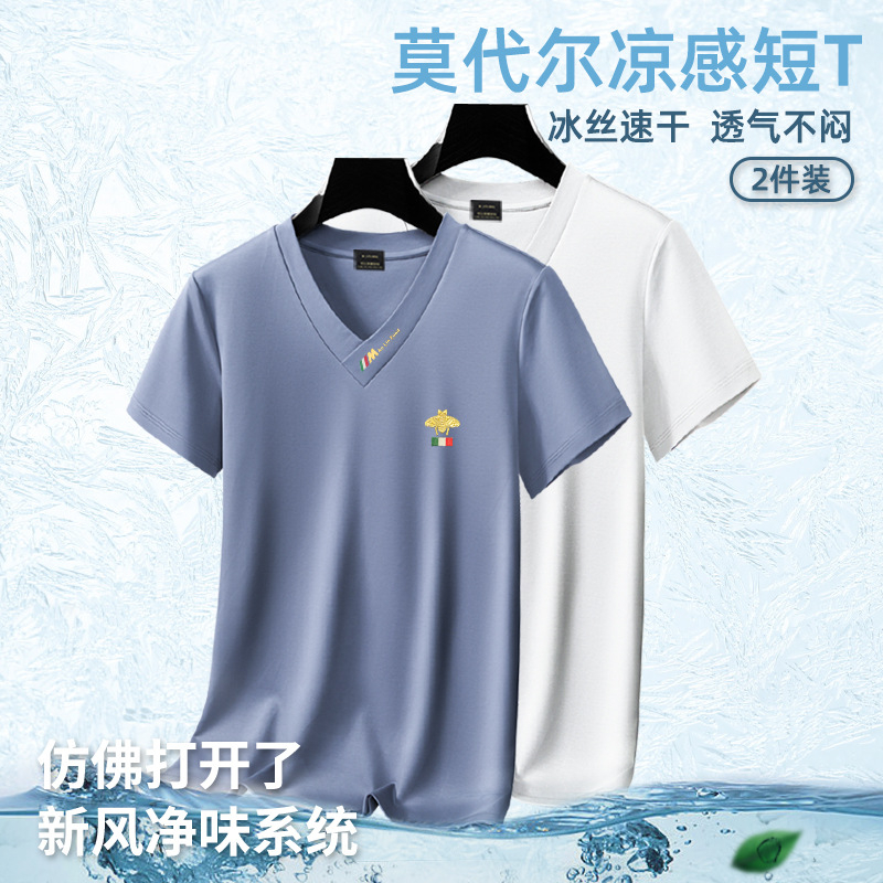 Summer 2025 new men's short-sleeved T-shirt V-neck top quick-drying high-end cool T-shirt Modal men's clothing wholesale Application Scenario