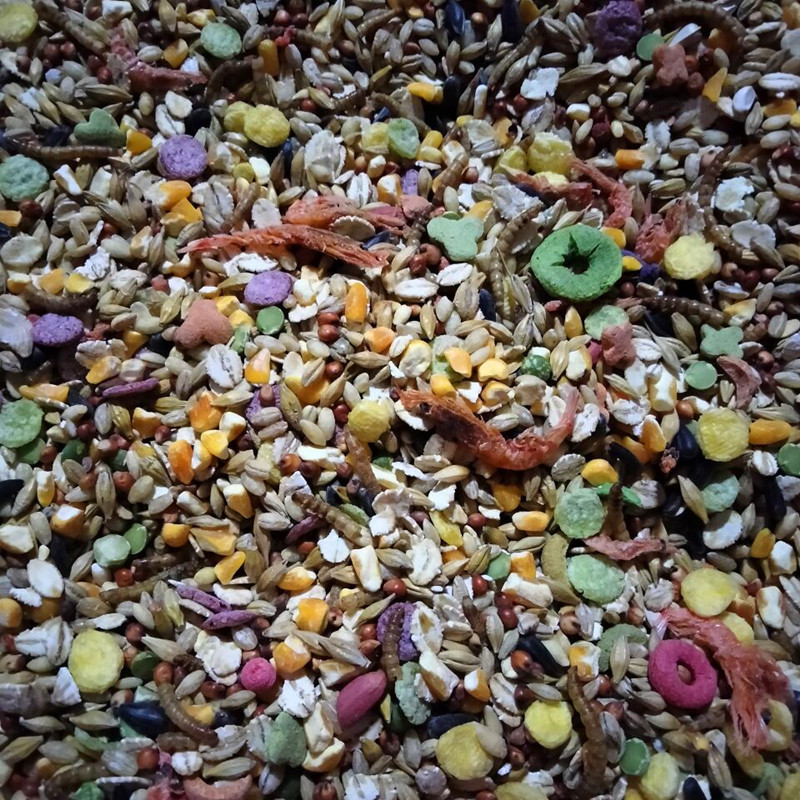 Factory wholesale hamster food pet food seafood food feed Golden bear food staple hamster supplies