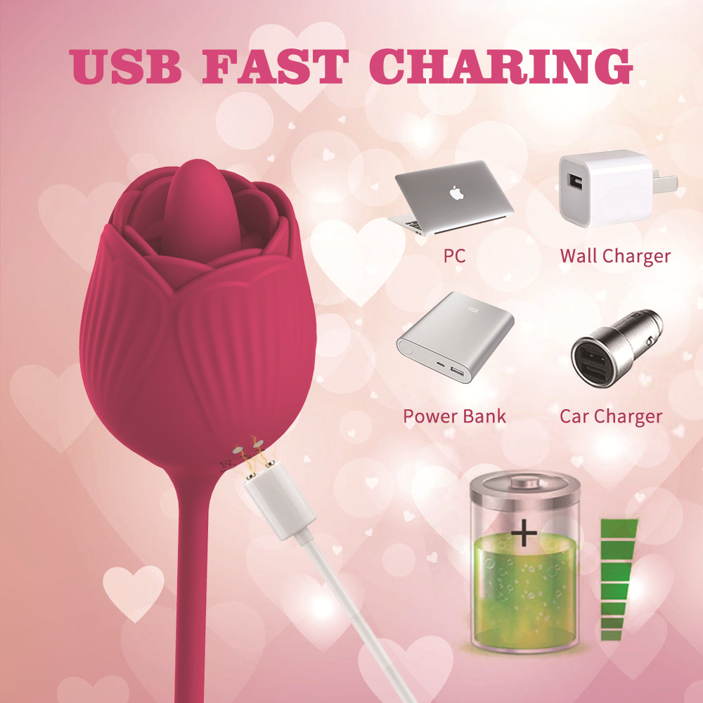 Rose Girl Sucking device, tongue licking vibration Jumping Egg, double-head sex vibration device, masturbation stick, adult products Specification drawing