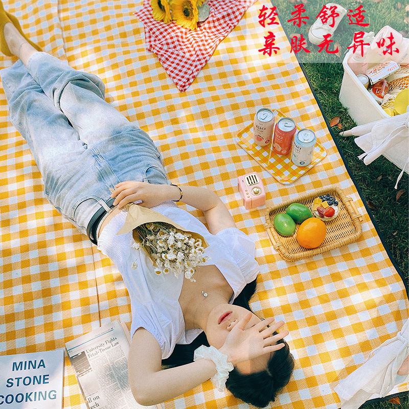 Autumn Picnic Mat Spring Waterproof Mat Outdoor Portable Waterproof Grass Picnic Mat Picnic Thickened Nordic Wind details Picture