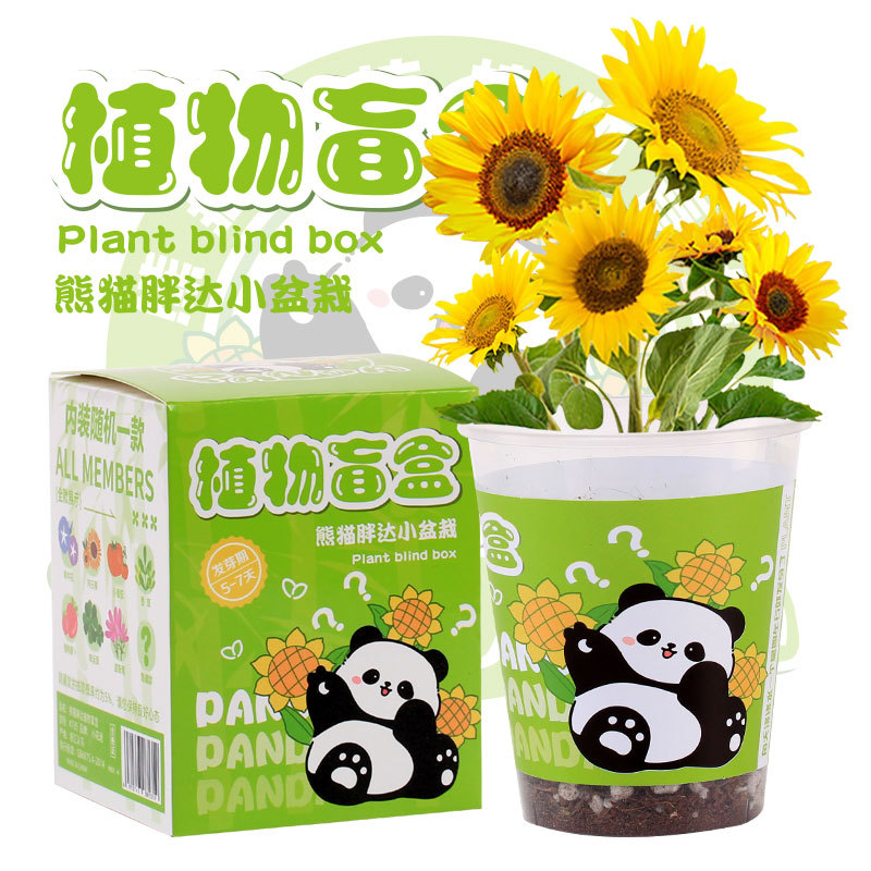 创意植物盲盒小盆栽幼儿园礼物室内种植花卉种子学生桌面绿植盆栽