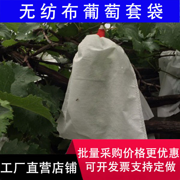 import细节图