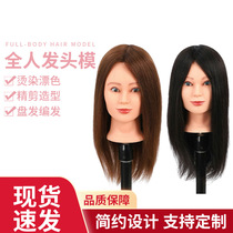 Full Body Hair Model Fake Head Roll Perm Fine cut Blow style Hair Salon Hair Practical cut hair model head